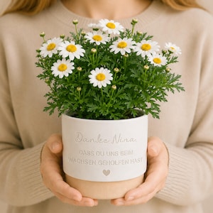 Könnte beinhalten: Eine Topfpflanze mit Gänseblümchen mit weißen Blütenblättern und gelben Zentren. Die Pflanze befindet sich in einem weißen Keramiktopf mit beigem Sockel. Der Topf trägt den Text "Danke Nina" und weitere deutsche Texte.