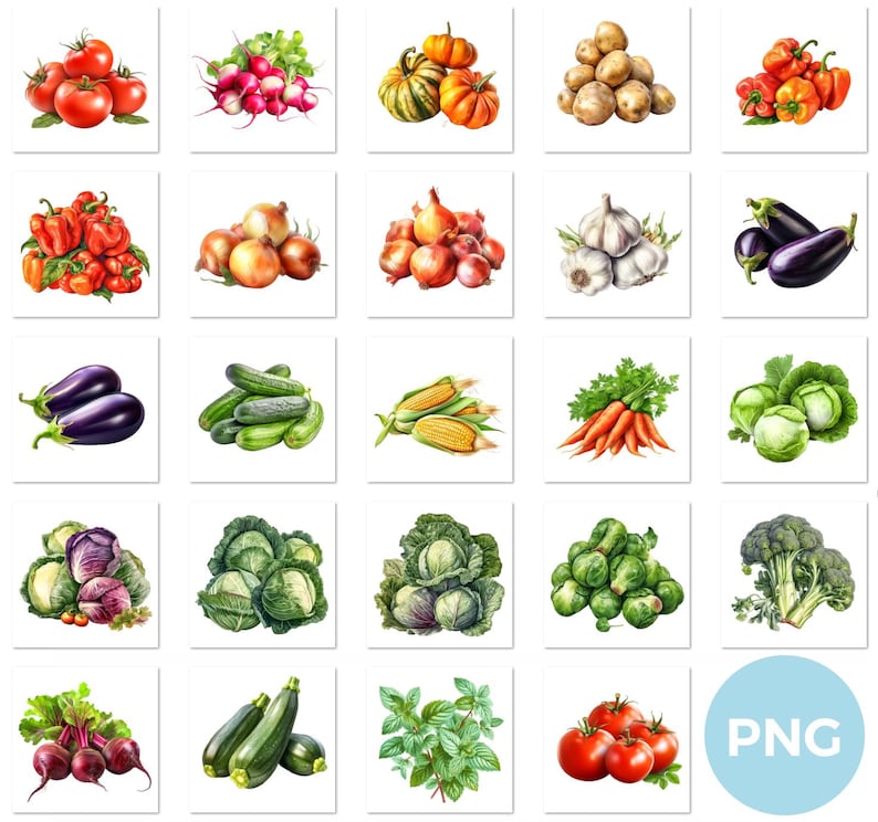 Vegetables Clipart Set, Fresh Garden Vegetables PNG Collection - Etsy
