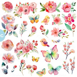 Colección de acuarela PNG clipart diseño elementos florales ramos de flores dibujos animados pájaros mariposas clipart descarga digital