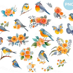 Colección de imágenes prediseñadas PNG transparentes de elementos de diseño de dibujos animados. Lindos pájaros acuarelas y ramos de flores. Imágenes prediseñadas florales, descarga digital