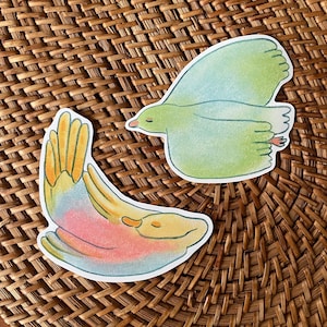 Adesivi Sleepy Bird / Adesivi Pastel Pigeon and Goose / Adesivi resistenti alle intemperie / Adesivi per laptop / Adesivi decorativi