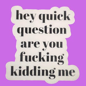 Hey Quick Question Are You Kidding Me - Weatherproof Premium Matte Sticker, Laptop, Hydroflask, Water Bottle Decal