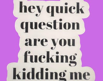 Hey Quick Question Are You Kidding Me - Weatherproof Premium Matte Sticker, Laptop, Hydroflask, Water Bottle Decal