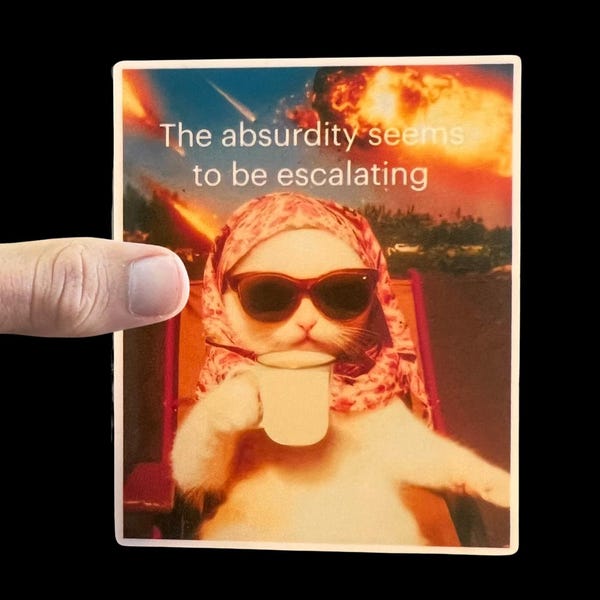 The Absurdity Seems To Be Escalating Sticker, Funny Cat Sticker, Weatherproof Premium Matte Sticker, Laptop, Hydroflask, Water Bottle Decal