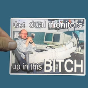Got Dual Monitors Up In This Bitch Sticker, Funny Sticker, Weatherproof Premium Matte Sticker, Laptop, Hydroflask, Water Bottle Decal