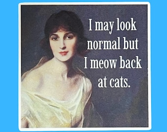 Cat Sticker, I Meow Back, I Look Normal but, Funny Cat Sticker, Classical Sarcasm, Weatherproof Matte Sticker, Water Bottle, Cat Mom