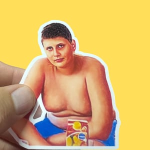 Nikola Jokic Sticker, Denver Nuggets, Young Jokic, MVP, Weatherproof Premium Matte Sticker, Laptop,  Hydroflask, Water Bottle Decal
