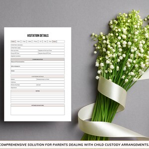 Child Custody Journal: the Essential Log Book for Keeping Accurate ...