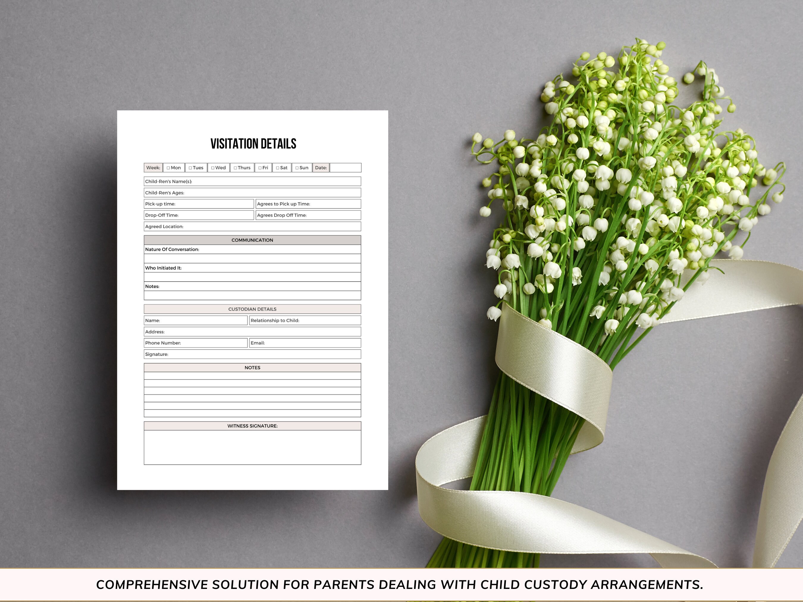 Child Custody Journal: the Essential Log Book for Keeping Accurate ...