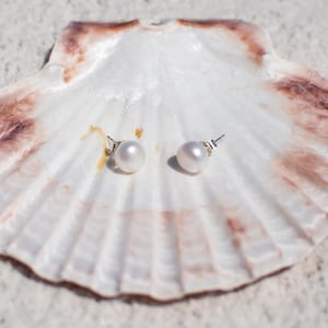 Emery Freshwater Pearl Stud Earrings~Sterling Silver~Coastal Jewlery~8/8.5 MM Pearls
