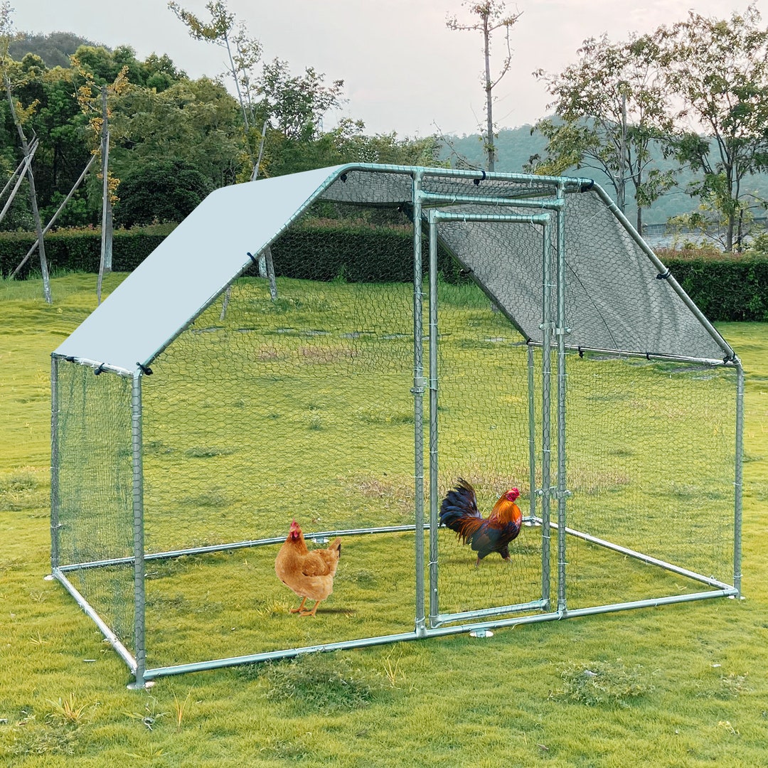 Metal Walkin Chicken Coop With Spire Shape Design Large Etsy
