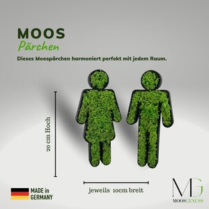 Moos Wc Zeichen aus konservierten Moos Bild 3