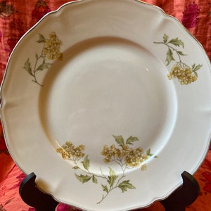 Platos vintage Hutschenreuther Selb de la Alemania de los años 50-70
