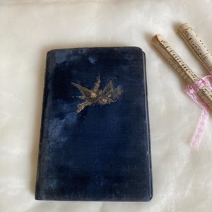 Antiguo diario de firmas de terciopelo elegante de la República Checa, 1930