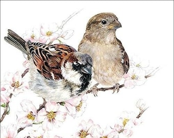 Sparrow Paper Napkins Set: Vintage Bird, Shabby Chic Decoupage