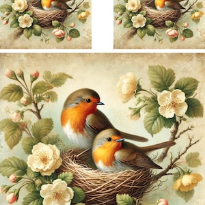 Papel de arroz para decoupage, papel para decoupage con nido de petirrojo rojo, papel para manualidades con pájaros de primavera, papel de arroz con petirrojo Shabby Chic, papel para manualidades con petirrojo A4, n.º 4283
