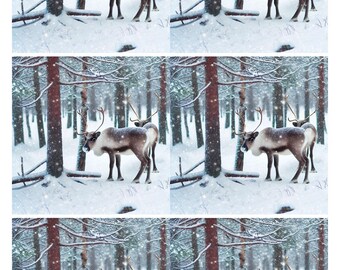 Reindeer Forest Rice Paper: Decoupage, Scrapbook, Art Journal (A4)