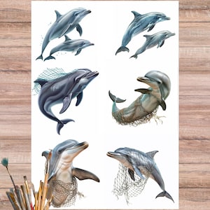 May include: A sheet of dolphin illustrations in various poses, some with nets. The dolphins are depicted in shades of gray and blue, with detailed shading. A small ceramic pot with paintbrushes and a pair of scissors are in the image.