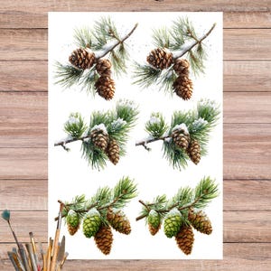 May include: A watercolour illustration of pine branches with pine cones, some dusted with snow. The image features green needles and brown cones. A pair of scissors is at the top and bottom of the image, with a small ceramic pot of paint brushes on the left.