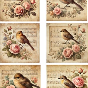 Rotkehlchen und Vintage Rosen Reispapier, Blumen und Vogel Thema Decoupage Collage, Vintage Musiknoten, Bastelbedarf, Journaling, Nr. 4250