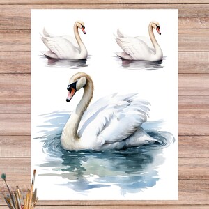 Papel de arroz con cisne blanco sereno para decoupage, papel artesanal con cisne nevado sobre un lago, papel de decoupage hecho a mano con elegantes aves acuáticas 4577