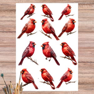 Red Cardinal Rice Paper for Decoupage: Watercolor Winter Bird Collage