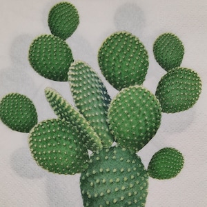 Cactus succulentes 4 serviettes en papier individuelles pour le déjeuner, serviettes pour découpage, journal de collage, éphémères. Matériaux de fabrication mixtes