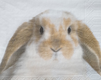 Servilletas de papel con diseño de conejo para decoupage y scrapbooking - Juego de 4