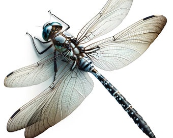 Dragonfly Rice Paper: A4 Decoupage, Scrapbooking, Collage