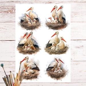 May include: A collection of watercolour illustrations featuring storks and their chicks in nests. The storks are white with black wingtips and red beaks. The nests are made of brown twigs. The background is white, with a pair of scissors.