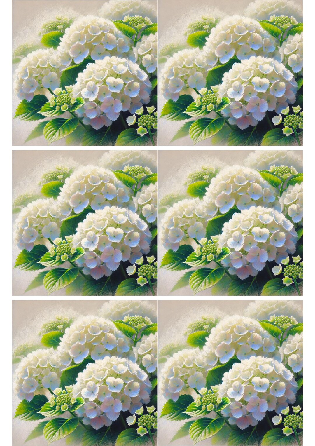 Hydrangea Rice Paper White Hydrangea Rice Paper: A4 Decoupage Sheet - Etsy