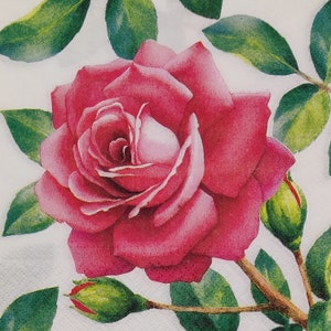 4 hermosas rosas rojas servilletas de papel decorativas para decoupage Craft Collage Journal Crafting Ephemera Decopatch Art, Roses, Rose, Flower