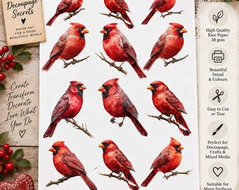 Rotes Kardinal-Reispapier für Decoupage, Weihnachtsvogel-Bastelpapier, Winterkardinal-Collage 4873