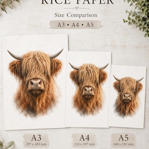 May include: Three sheets of rice paper featuring a brown Highland cow illustration in A3, A4, and A5 sizes. The text reads RICE PAPER, Size Comparison, A3, A4, A5, and dimensions 297 x 420 mm, 210 x 297 mm, and 148 x 210 mm are clearly printed.