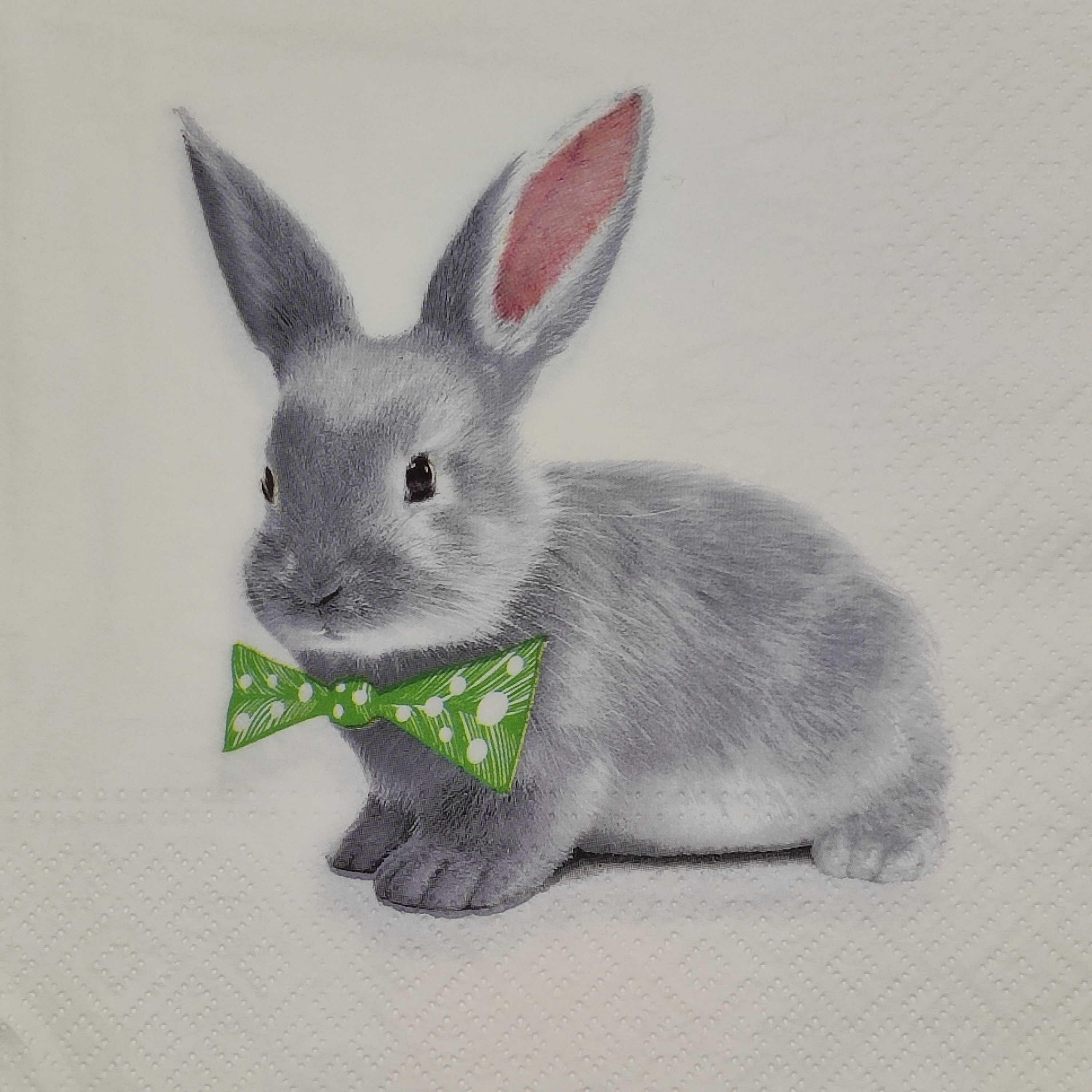 シモンズグランドセール 4 Single Paper Napkins - Grey Rabbit With Green Bow Ties 使い捨て食器