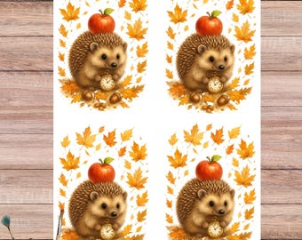 Autumn Hedgehog Rice Paper: Woodland Animal Fall Craft