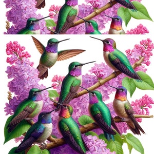 Papel de arroz para decoupage Craft Scrapbooking Collage - Colibríes y lila A4 Ephemera Card Making Supplies