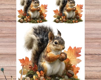 Woodland Squirrel Rice Paper – Photorealistic Squirrel with Acorns, Autumn Leaves & Moss – Forest Decoupage Journaling Supplies, 5004