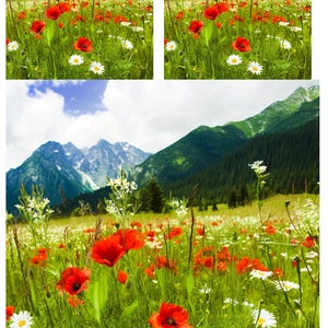 Collage de amapolas rojas, Paisaje de montaña, Papel de arroz para manualidades de decoupage, Collage de álbumes de recortes, Arte general, Papel nuevo de tamaño estándar 1 A4