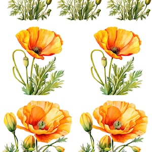 Papier de riz pour découpage, Papier de découpage Coquelicots jaunes, Papier de riz fleurs sauvages, Impression botanique, Accessoires pour fabrication de cartes, No 4258
