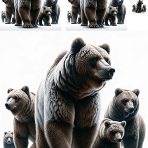 Bear's Family Papier de riz pour découpage Artisanat Scrapbooking Collage Revue technique mixte 1 A4 Taille standard - Imprimé animal décoratif