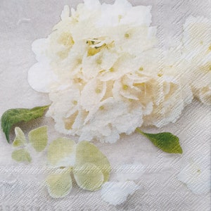 Servilletas de papel con diseño de hortensias blancas: decoupage, scrapbooking y collage (juego de 4)