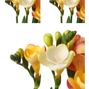 Papel de arroz para manualidades de decoupage, álbumes de recortes, fabricación de tarjetas, hermosas flores de fresia, suministros de medios mixtos, diario basura, tamaño 1 A4, nuevo