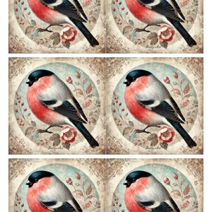 Papel para collage de pájaros camachuelo, papel de arroz para decoupage, álbum de recortes, diario artístico, papel para hacer tarjetas, amantes de los pájaros, papel para decoupage único, ARTE