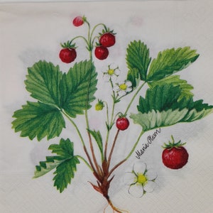 20 tovaglioli di carta per il pranzo per decoupage, collage, diario, artigianato, Ephemera, decopatch art, confezione da 20 tovaglioli, fragole selvatiche, artigianato