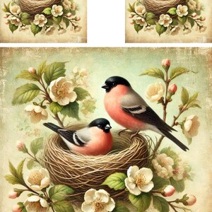 Papel de arroz para decoupage, papel de arroz Shabby Chic con forma de nido de pájaro, papel para decoupage con forma de nido de pájaro, papel para manualidades con forma de nido de pájaro vintage, n.º 4288