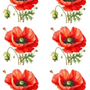 Reispapier für Decoupage, Decoupagepapier, Rote Mohnblumen, Decoupage Papier, Bunte Mohnblumen, Ephemera Papier, Lebendiges Blumen Kunst Papier, No 4256