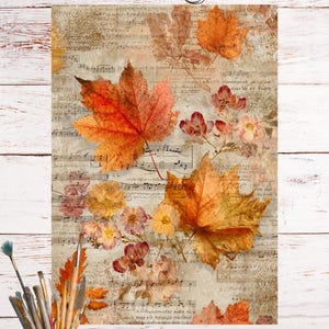 May include: An art print with a vintage musical score background, adorned with autumn leaves and flowers. The print features large maple leaves in orange and red hues, complemented by delicate floral details. A ceramic cup with paint brushes and a pair of scissors are also visible.
