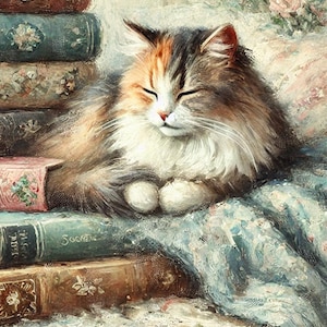 Papel de arroz con un gato acostado sobre libros, papel de arroz para decoupage con motivo de gato, amantes de los libros, papel artesanal para decoupage, diseño de papel único