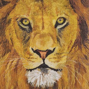 4 serviettes en papier pour découpage Le roi lion pour créations manuelles, scrapbooking, art. 4 serviettes en papier individuelles pour le déjeuner, serviettes à motif animalier